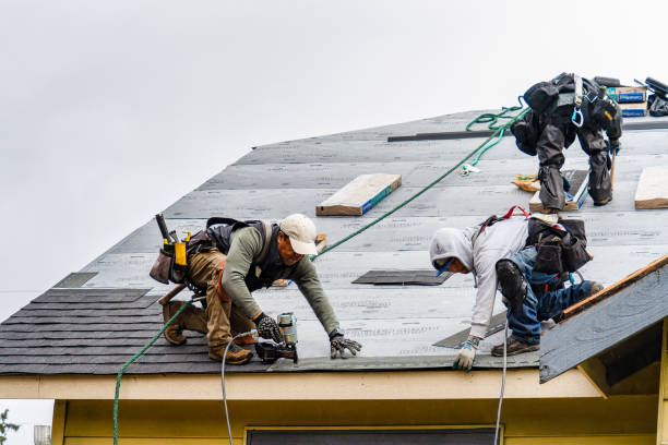 Professional Roofing technician working in Shelly, MN